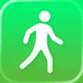 Pedometer